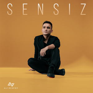 Sensiz