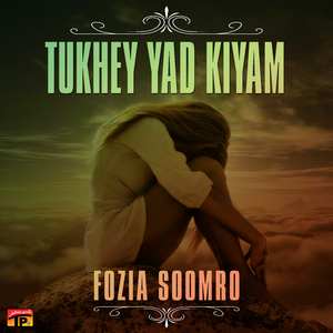 Tokhe Munhji Ka Parwah Nahe