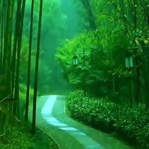 春归少年时-小元