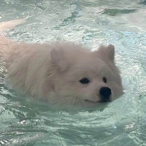 等你的日子不值一提