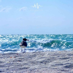 珍惜眼前人 (海浪声+钢琴)