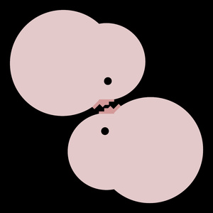 Skin (Mixtape Version)