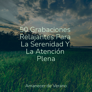 Fragmentos silenciosos al atardecer