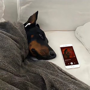 爱的代价 片段