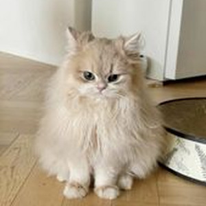 Treat Me Like Somebody