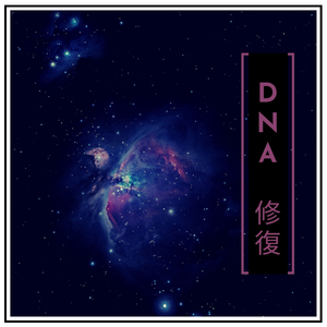 ライフミュージック