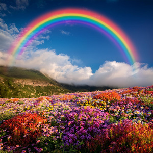 Melodías Para Celebrar De Corazón