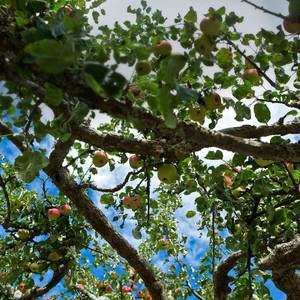 多想在平庸的生活拥抱你