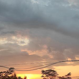 秋天不回来（片段）