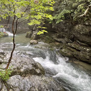 走（Prod.Averatec）