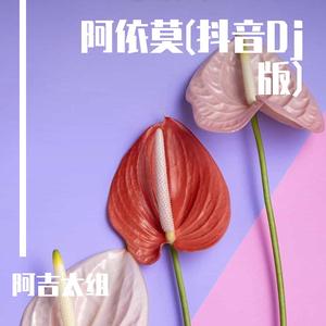 阿吉太组合-阿衣莫（ remix）