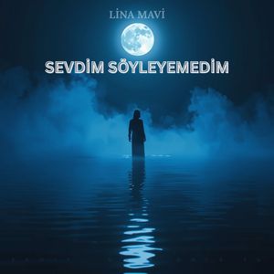 Sevdim Söyleyemedim