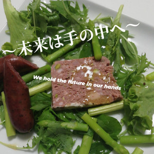 未来は手の中へ (feat. 世界的な歌姫 & 山本 孝裕)