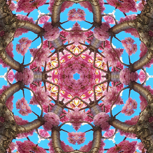 We learned that life is more than just what we can see