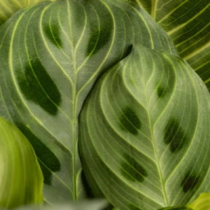 君じゃなきゃ壊れる