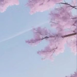 多想在平庸的生活拥抱你(Live)