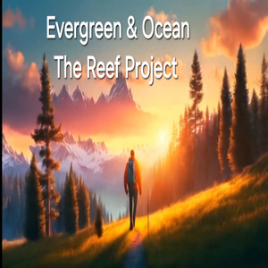 Evergreen & Ocean
