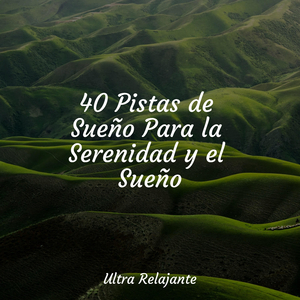 Ambiente Sin Estrés