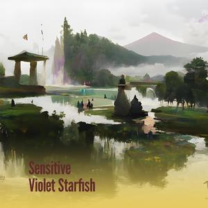 Sensitive Violet Starfish