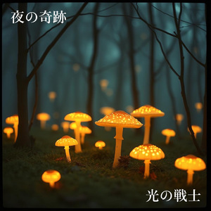 夜の奇跡