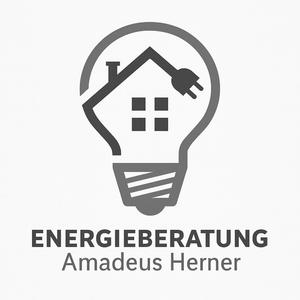 Energieberatung Amadeus Herner (Grunge Rock Version)