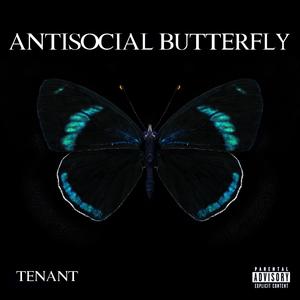 SPRING AND SUMMER (feat. Tabi Gervis)