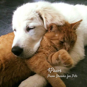 Background Music to Improve Focus