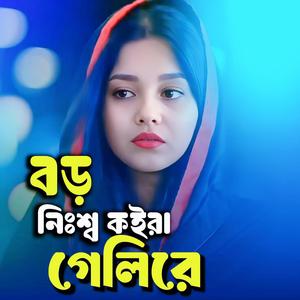 বড় নিঃস্ব কইরা গেলি রে তুই | Normal Sad Song | Duet Song | (TBi Music Studio Remix)