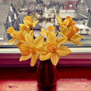 힐링을 위한 봄의 빗소리