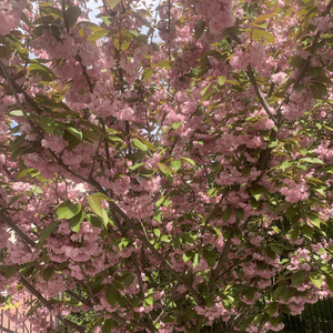 Щось не так