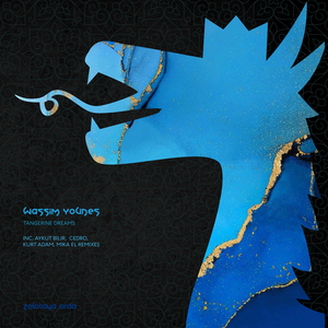 The Feeling of Sway (Aykut Bilir Remix)