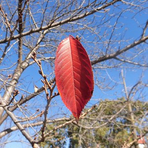 新しい出会いと別れ