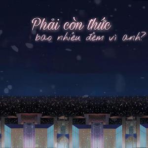 Phải Còn Thức Bao Nhiêu Đêm Vì Anh