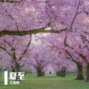 夏至 One Summertime