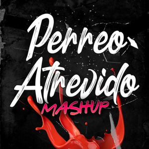 Perreo Atrevido Mashup