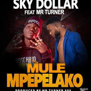 Mulempepelako (feat. Mr Turner Thee Producer)