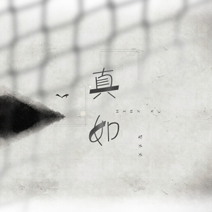 真如（Remix） (伴奏)