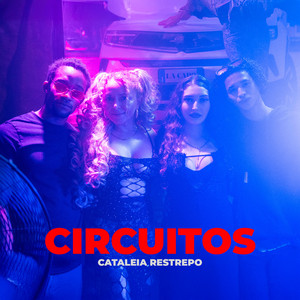 Circuitos