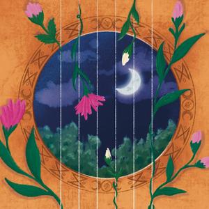 Insostenibile leggerezza