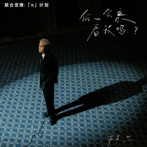 你会来看我吗？