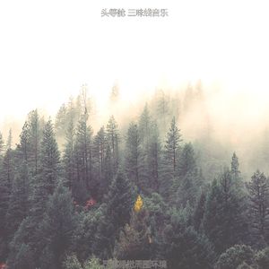 精彩回春环境