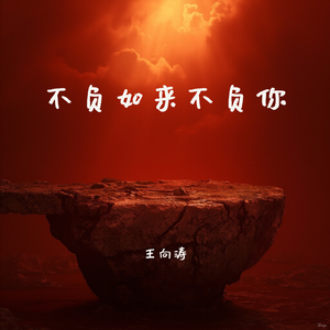 不负如来不负你