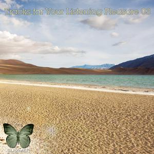 I Can`t Without You (Original Mix)