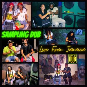 40 Bars (feat. Capleton) (Live) (Live)