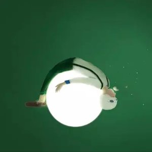 谁的生活不是鸡零狗碎