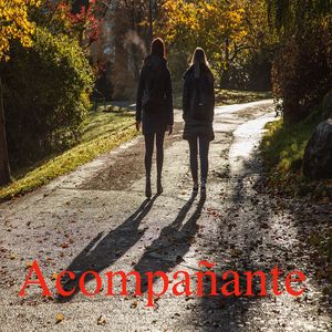 Acompañante