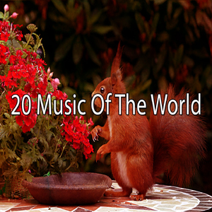 隐藏在自然的和平中