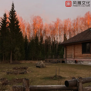 望着窗外的男孩 -钢琴