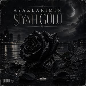 Ayazlarımın Siyah Gülü