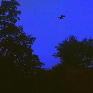 Flying Through The Sky (Extended)